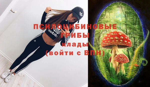 а пвп мука Абаза